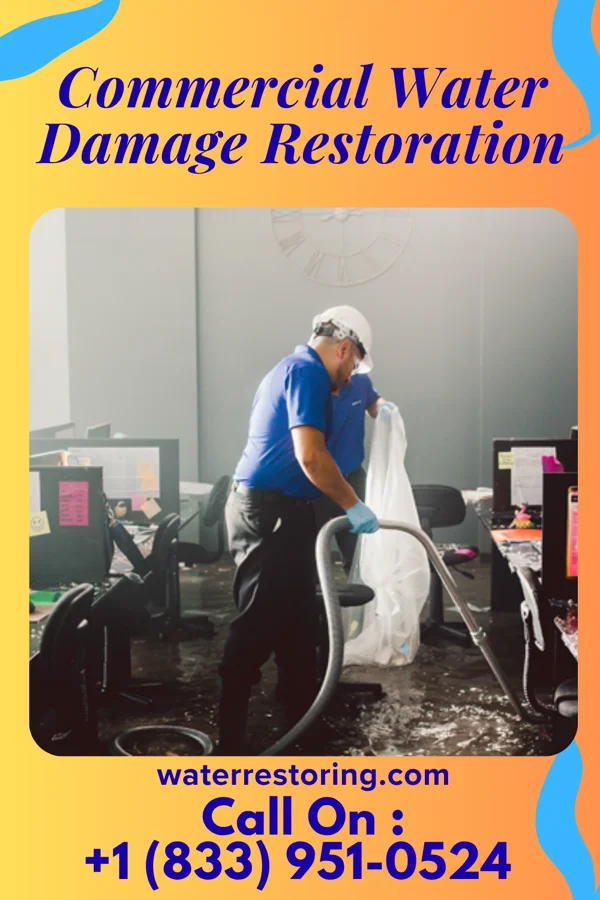 Commercial Water Damage Restoration in Lyons, MI