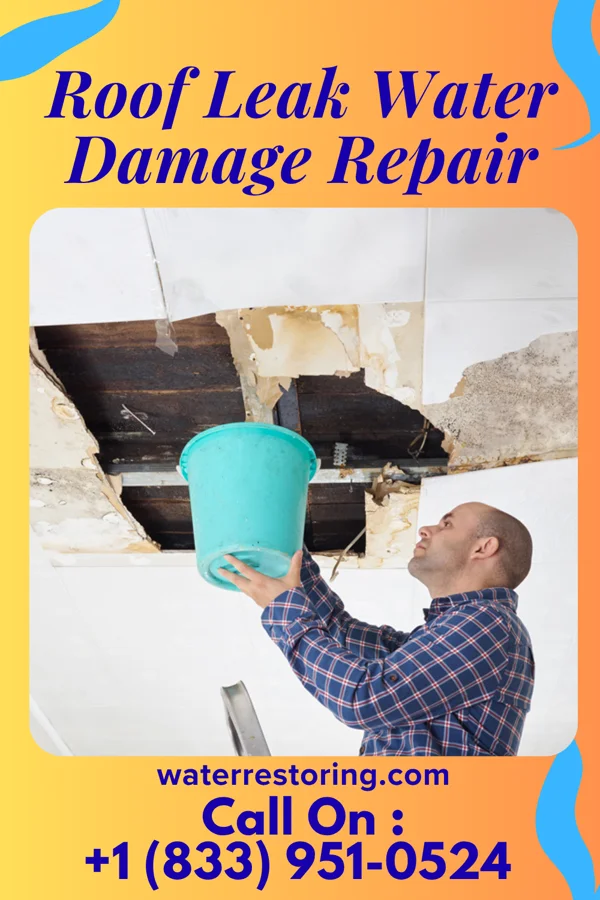 Roof Leak Water Damage Repair in Lyons, MI