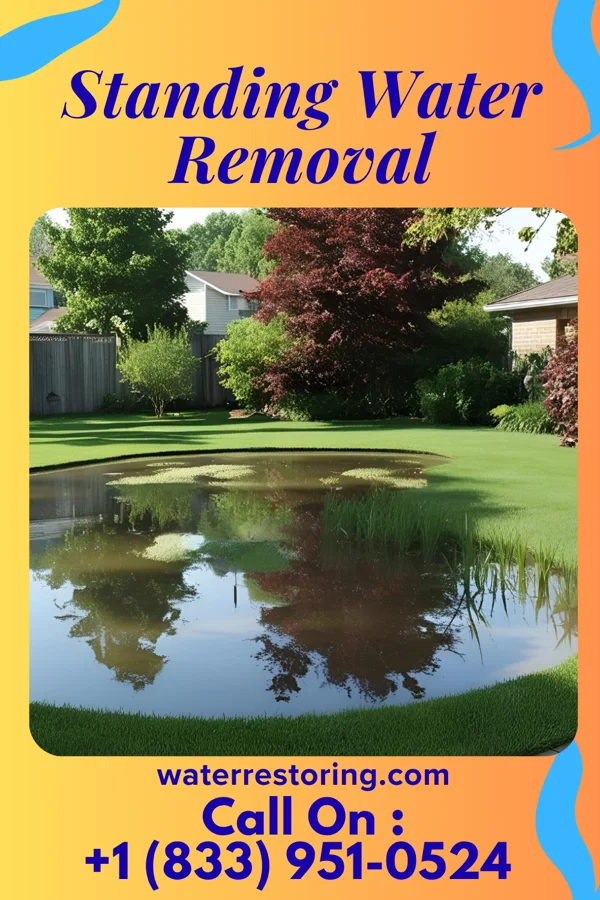Standing Water Removal in Lyons, MI
